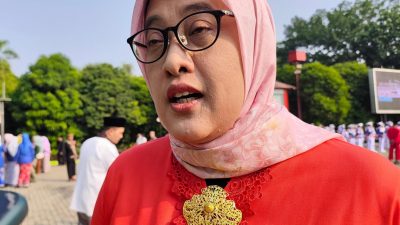 Kadinkes: Kajian PP KIPI Belum Temukan Kaitan Salah Vaksin Bayi dengan Radang Otak