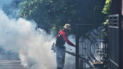 DBD Masih Mengganas di Kota Bekasi, 1.583 Kasus Tercatat hingga Awal Juni 2026