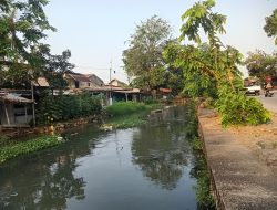 Kali Irigasi Bekasi Jaya Alami Pendangkalan, Warga Khawatir Picu Banjir
