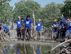 Sambut HUT ke-25, Demokrat Bekasi Tanam Mangrove di Muaragembong