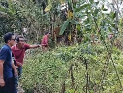 Polisi Selidiki Penemuan Bayi di Lahan Kosong Tambun Selatan, Empat Saksi Diperiksa