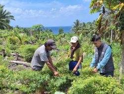 Di Tengah Bentang Kepulauan Talaud, Mantri BRI Hadir Menggerakkan Denyut Nadi Perekonomian