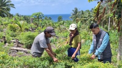 Di Tengah Bentang Kepulauan Talaud, Mantri BRI Hadir Menggerakkan Denyut Nadi Perekonomian