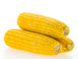 Rendah Kalori dan Tinggi Serat, Simak 5 Alasan Mengapa Jagung Bagus untuk Diet