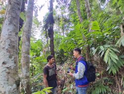Terobos Kabut dan Jalan Terjal, Mantri BRI Menjaga Asa Pelaku Usaha Cianjur Selatan