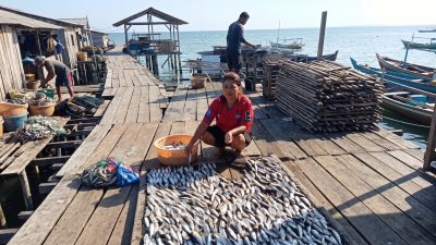 Berdayakan UMKM hingga ke Pelosok Negeri, BRI Dorong Pengusaha Ikan Kering Sorong Naik Kelas Lewat Program ‘Klasterku Hidupku’