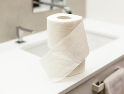 Sering Lap Dudukan Toilet Umum Pakai Tisu? Ternyata Bisa Jadi Kebiasaan yang Salah