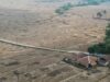 Laporan Manis Pemerintah Terbantah, Ribuan Hektare Sawah di Kabupaten Bekasi Masih Kekeringan