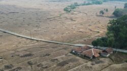 Laporan Manis Pemerintah Terbantah, Ribuan Hektare Sawah di Kabupaten Bekasi Masih Kekeringan