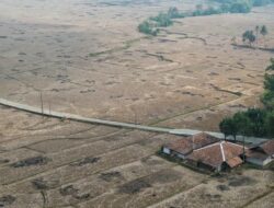 Laporan Manis Pemerintah Terbantah, Ribuan Hektare Sawah di Kabupaten Bekasi Masih Kekeringan