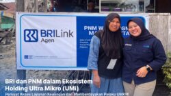 Berkat Holding Ultra Mikro, Pemilik Laundry di Kalimantan Ini Sukses Kembangkan Usaha dari Mekaar jadi BRILink Agen