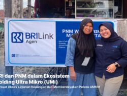 Berkat Holding Ultra Mikro, Pemilik Laundry di Kalimantan Ini Sukses Kembangkan Usaha dari Mekaar jadi BRILink Agen