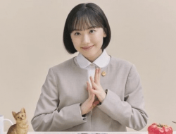 Drama Hit Extraordinary Attorney Woo Di-remake Jepang Jadi Extraordinary Attorney Minami, Intip Sosok Pengganti Park Eun Bin!