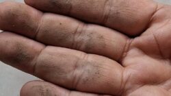 Debu Diduga Abu Vulkanik Anak Krakatau Sampai Mustikajaya Bekasi, Kecoklatan dan Terasa Lengket