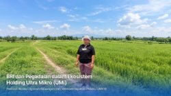 Dari Gadai Emas hingga KUR Mikro, Holding Ultra Mikro Bawa Mur Dwi Astuti Sukses Jadi Petani di Merauke 