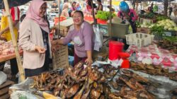 Dampingi Usaha hingga Edukasi Keamanan Bertransaksi, Mantri BRI Hadir Dekat dengan Masyarakat di Lubuklinggau