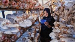Indeks Bisnis UMKM BRI Triwulan II 2026: Ketahanan UMKM Terjaga, Ditopang Optimisme Prospek Usaha