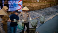 10 Ton Hasil Perikanan Dipanen dari Muaragembong, Pasok Kebutuhan 12 SPPG