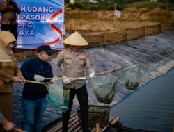 10 Ton Hasil Perikanan Dipanen dari Muaragembong, Pasok Kebutuhan 12 SPPG
