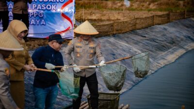 10 Ton Hasil Perikanan Dipanen dari Muaragembong, Pasok Kebutuhan 12 SPPG