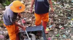 TPS Liar Rawa Haur Dibersihkan Petugas Jatisampurna