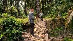 Harus Lewati Jalan Berlumpur dan Minim Sinyal di Rantau Prapat, Kepala Unit BRI Menemani UMKM untuk Naik Kelas
