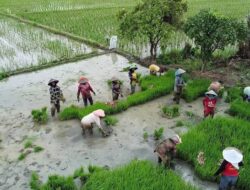 Peringatan Hari Tani Nasional 2026, DPRD Kabupaten Bekasi Tekankan Jaga Keberlanjutan Sektor Pertanian