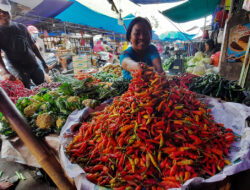 Cabai Rawit Merah di Kota Bekasi Tembus Rp80 Ribu Per Kg