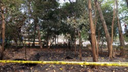 Hutan Kota Bekasi Terbakar, Pengawasan Diperketat