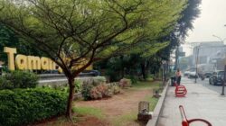 Kelurahan Jatiasih Kerahkan Seluruh Aparatur Rawat Taman