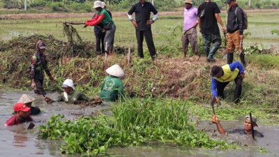 Hadapi Ancaman Kekeringan, Petani Pebayuran Gelar Tradisi Goloran