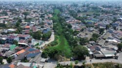 Warga Waswas, Eceng Gondok Penuhi Aliran Kali Waru 