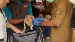 Warga Serbu Posyanduwan di Kecamatan Bekasi Selatan