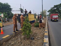 Disperkimtan Lanjutkan Pembangunan Taman Median Jalan Inspeksi Kalimalang  3,4 Kilometer