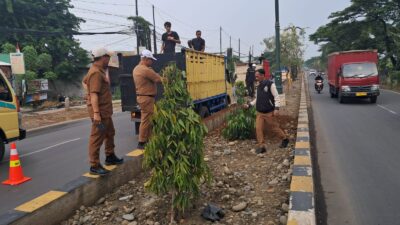Disperkimtan Lanjutkan Pembangunan Taman Median Jalan Inspeksi Kalimalang  3,4 Kilometer