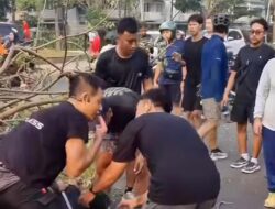 Dua Orang Terluka Usai Tertimpa Pohon Tumbang di Bekasi Utara