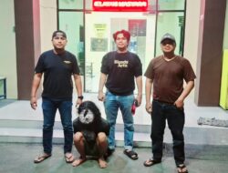 Hampir Dua Bulan Kabur, Penganiaya Penjaga Konter di Babelan Dibekuk