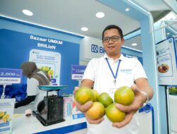 Dulu Berjualan Jeruk dengan Sepeda Motor, Kini Jaringan Usaha Antoni Mampu Kirim hingga 3 Truk Sehari Berkat Pemberdayaan BRI