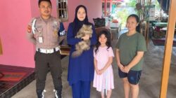 Sempat Hilang Usai Dicuri Pedagang Mi Ayam, Kucing Persia Kembali ke Pemilik