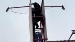 Reklame hingga Banner Tak Berizin Dibabat di Jatiasih