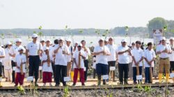 Lindungi Pantai Utara Jawa dari Abrasi, BRI Tanam 30 Ribu Bibit Mangrove dan Manfaatkan Sampah Jadi Pemecah Ombak Melalui Program BRI Peduli