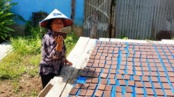 BRI Salurkan KUR Rp144 Triliun kepada 2,76 Juta Debitur, Jadi Motor Penggerak Sektor Produktif dan UMKM Nasional